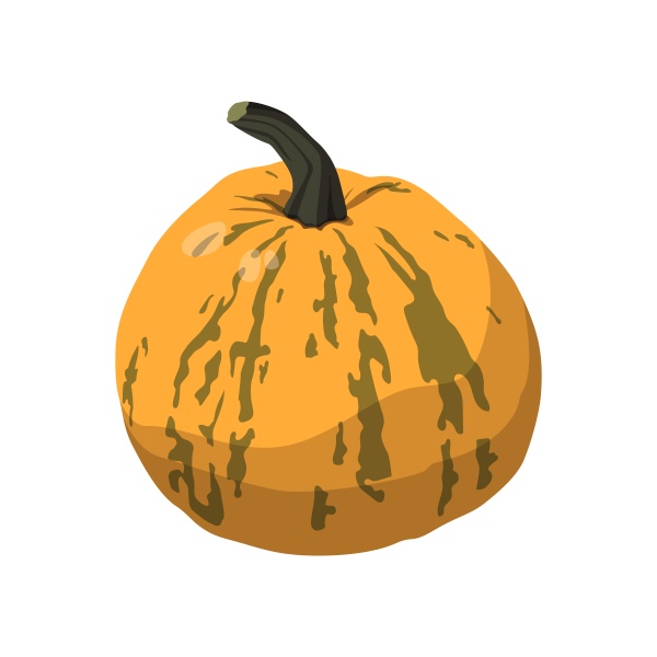 realistic big orange pumpkin on white