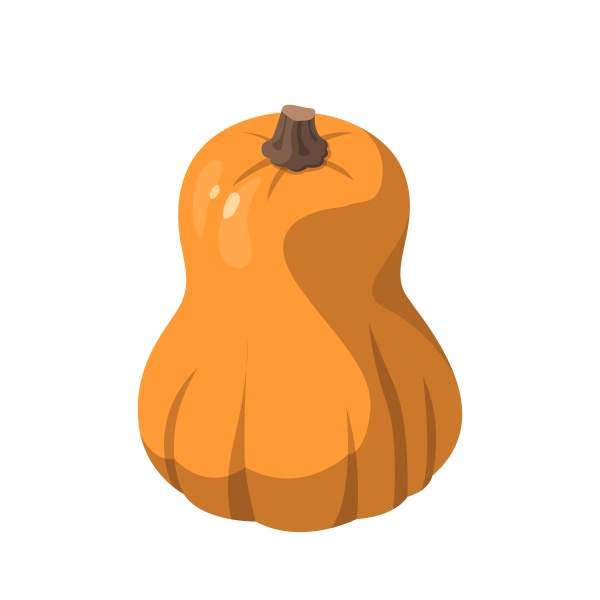 realistic big orange pumpkin on white