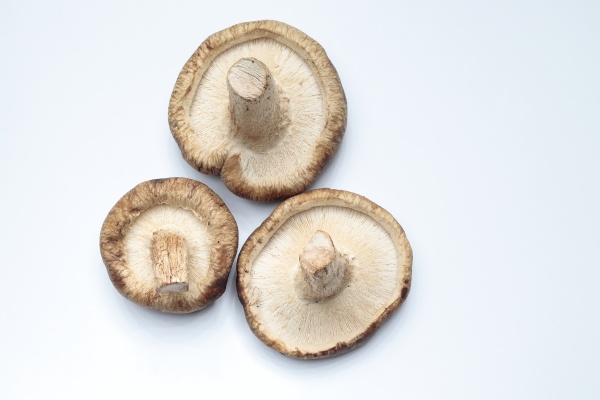 overview of shiitake mushrooms