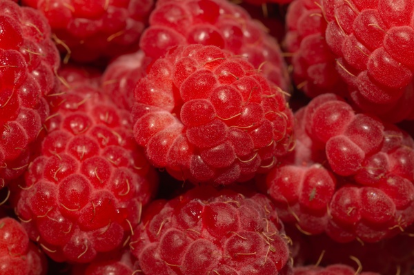 fresh raspberry close up ripe