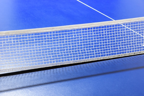 net of the table tennis table