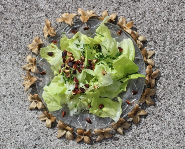 delicious salad with roasted beechnuts