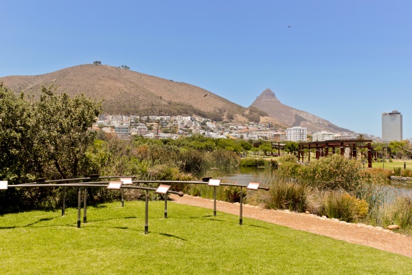 green point park with lake river