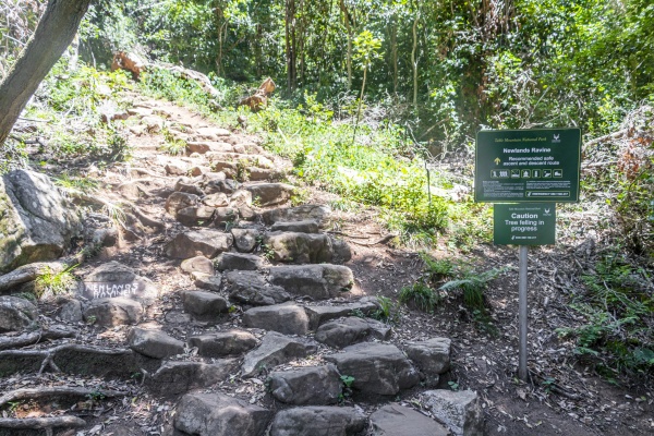 stony newlands ravine hiking trail in