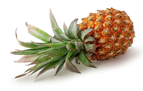 single pineapple lies rotated isolated on