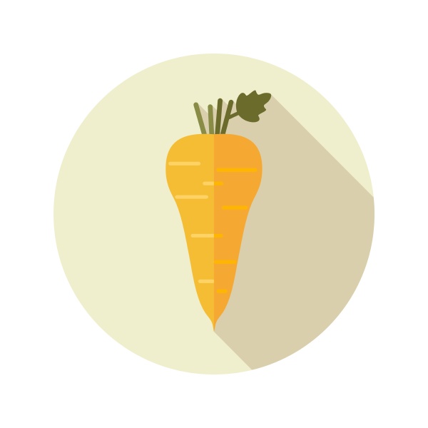 parsnip root flat icon vegetable