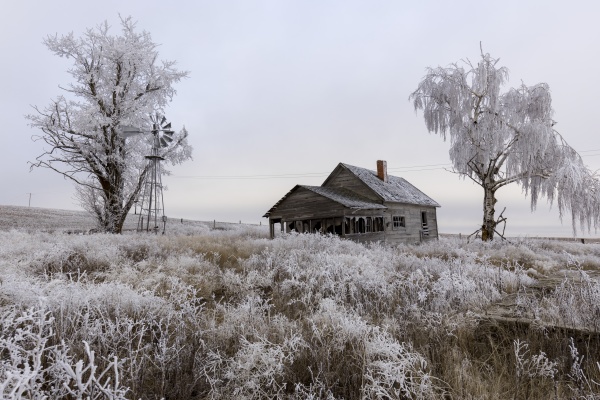 old abandoned rural homestead in winter