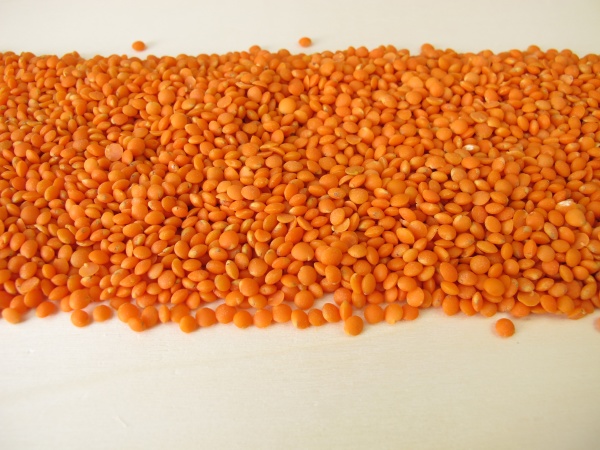 red lentils distributed flatly on a