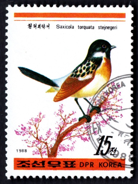 postage stamps had been printed in