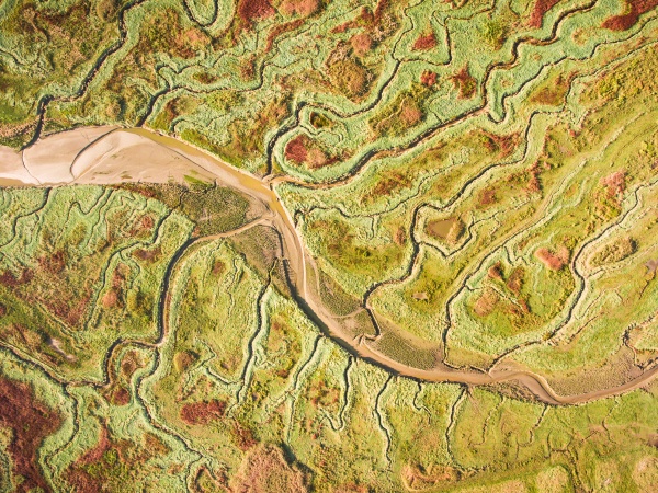 aerial photography of a beautiful polder