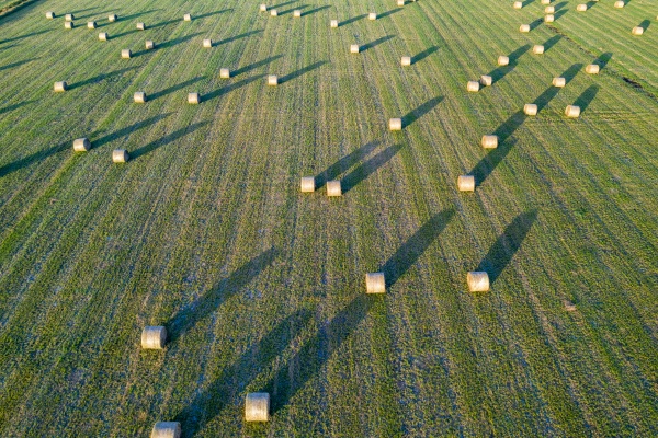aerial view of rolls of hay