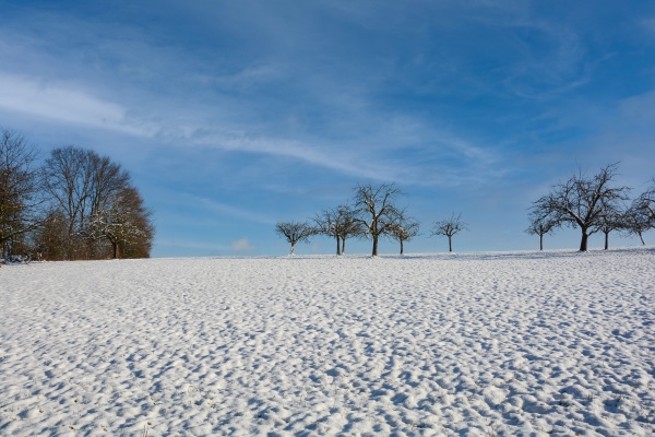 winter landscape with a lot of