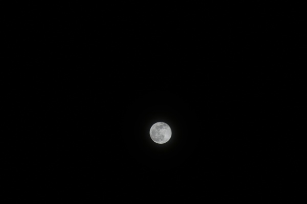the moon in night sky in