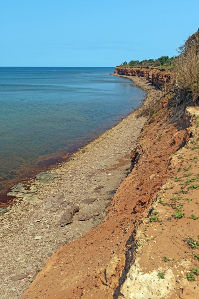 red rock coastline at low tide