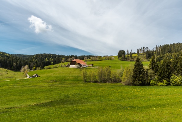 traditional farmhouse in black forest