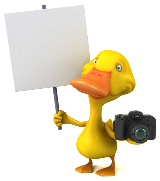fun duck 3d illustration