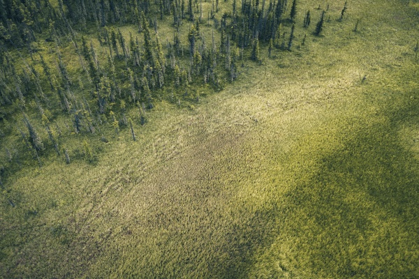 aerial view of the marshland in