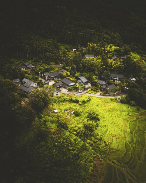 aerial view of shiroyone senmaida rice