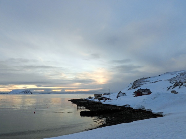 landscape at the porsangerfjord in winter