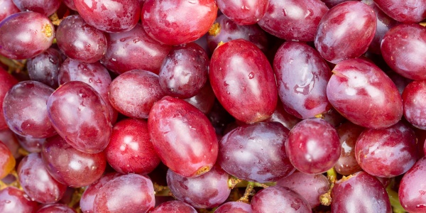 red grapes grape fruits fruit background