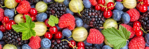 berries fruits berry fruit strawberries strawberry