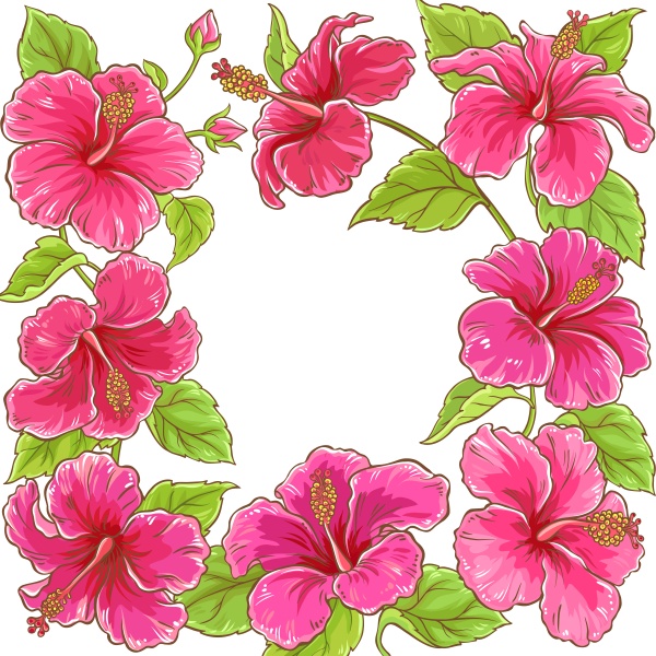 hibiscus vector frame