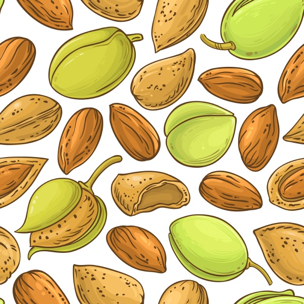 almond nuts vector pattern