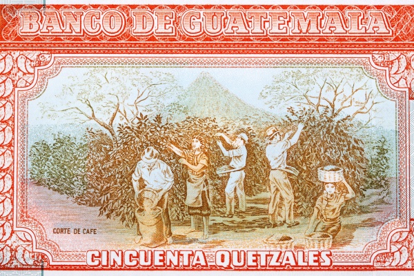 crop workers from guatemalan money