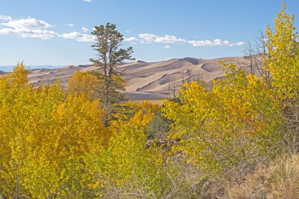 the great sand dunes beyond the