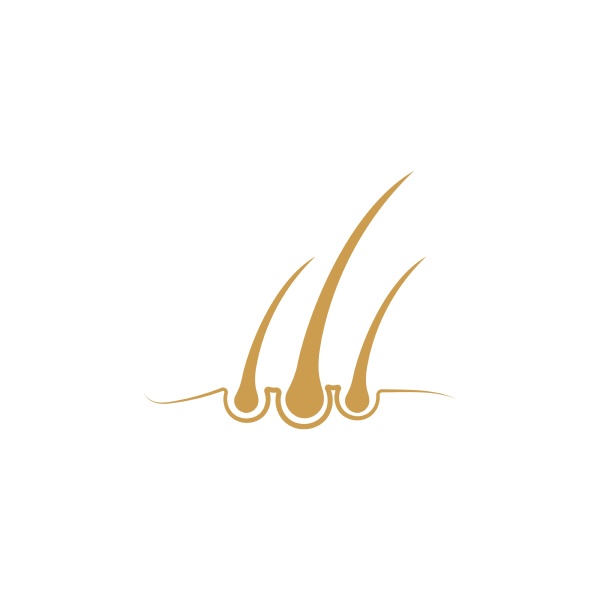 hair wave logo vector icon