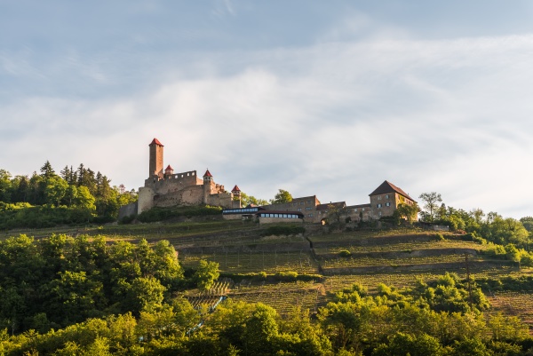 hornberg castle in neckar valley