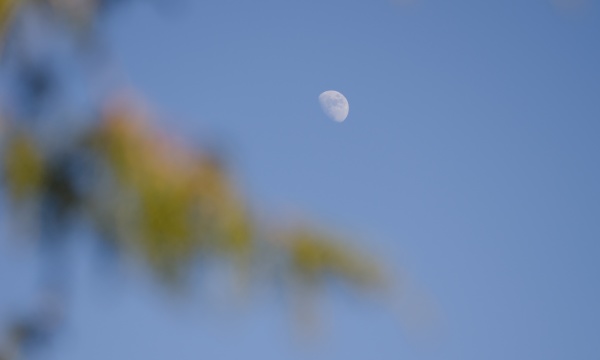 waxing gibbous moon