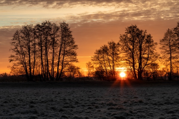 sunrise on a field in bavaria