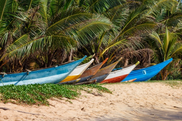 tropical beach with row of fishing