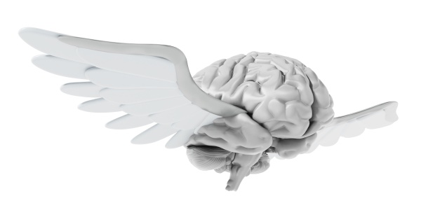 flying brain with white wings