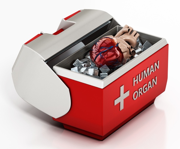 human heart inside box isolated on