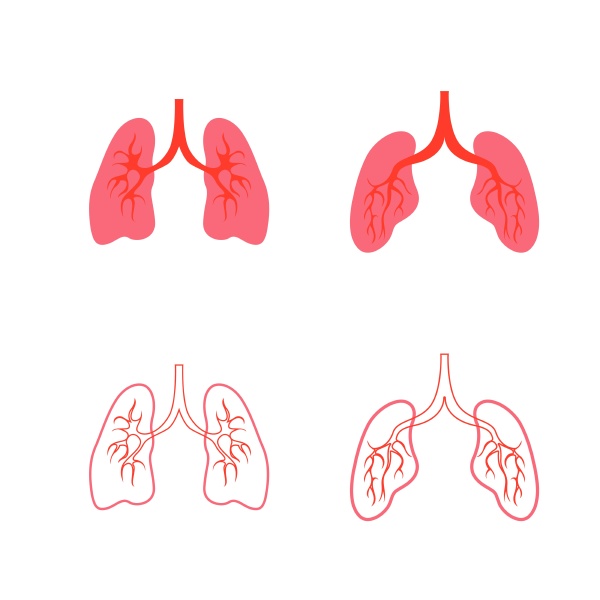 human lung vector image template icon