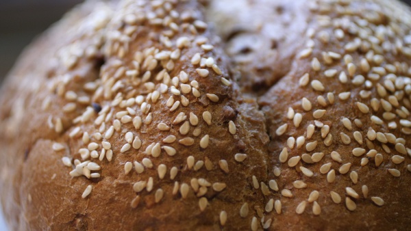 whole wheat bread baked at home