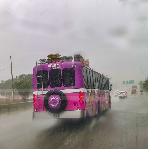 pink xcaret bus drives in heavy