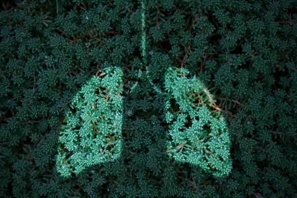 Media-id 35127966