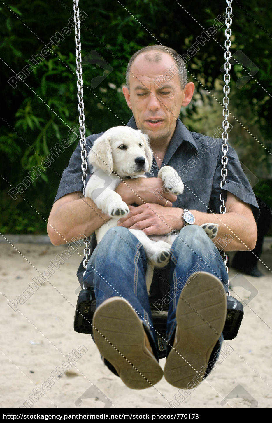 puppy swing