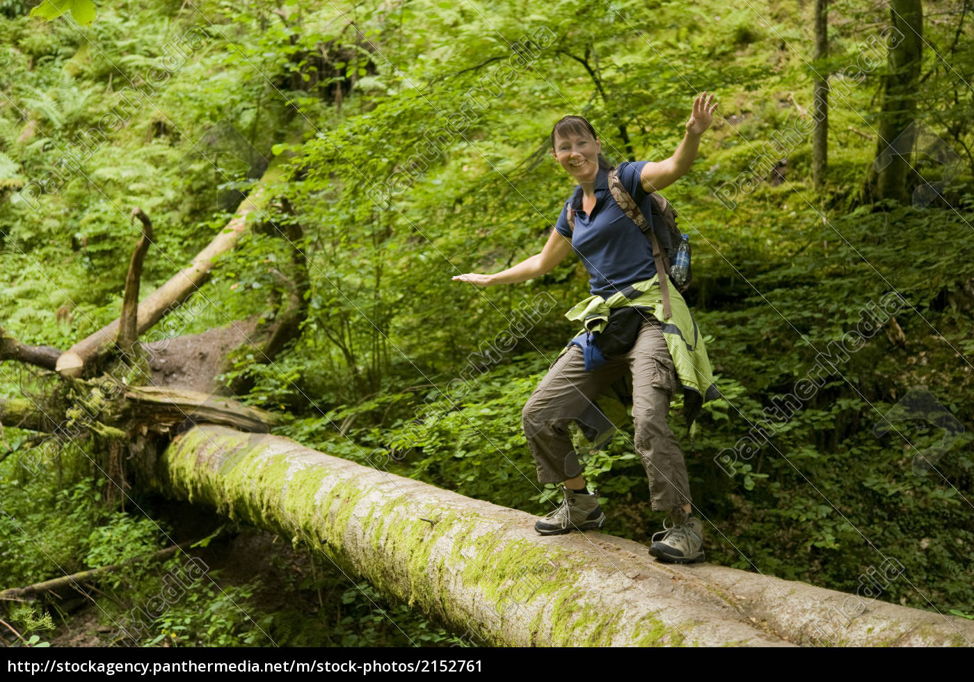 hiking black forest