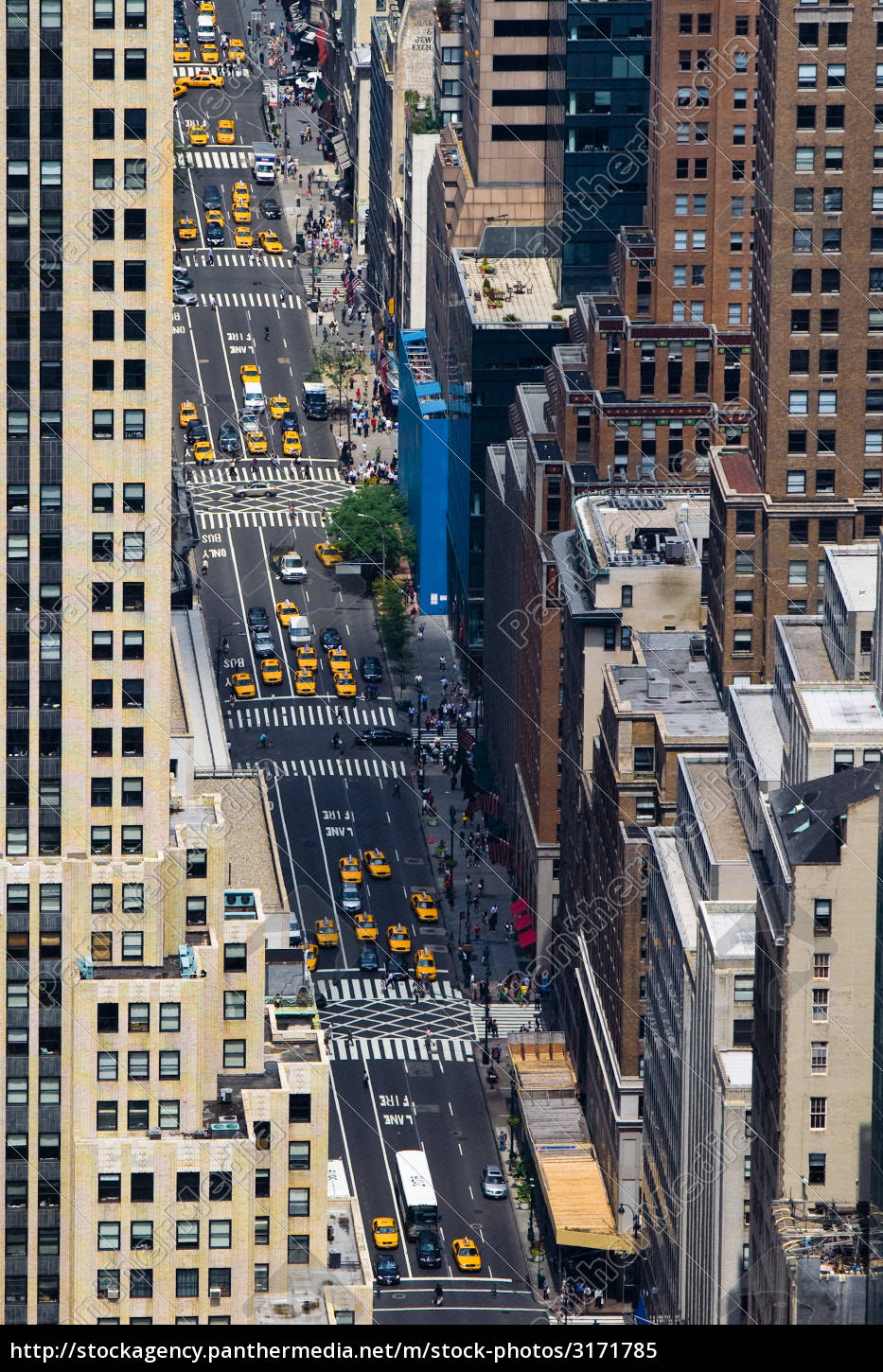 5th Avenue In Manhattan New York City Stock Photo Panthermedia Stock Agency