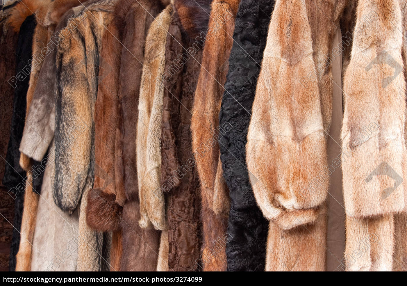 animal fur jacket