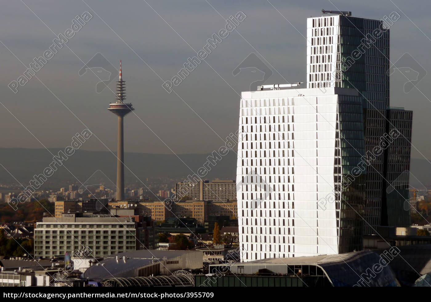 Myzeil And Ginnemer Asparagus Stock Photo Panthermedia Stock Agency