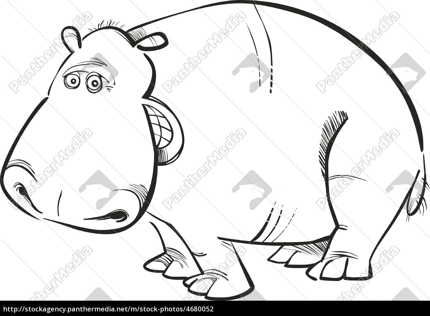 book　coloring　photo　Hippopotamus　for　Stock　#4680052　Royalty　PantherMedia　free　Agency