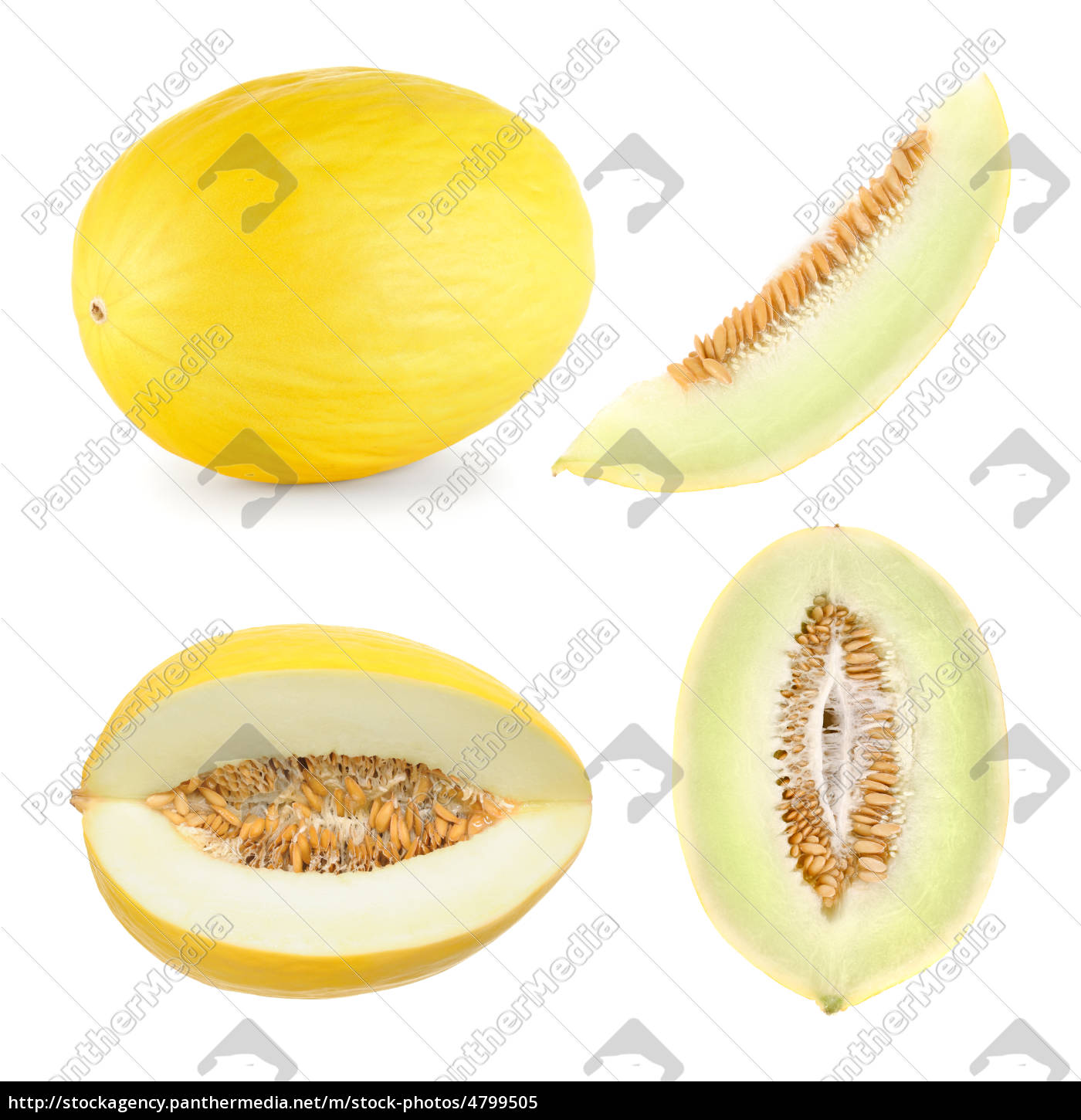 Download Cantaloupe In 4 Different Shapes Royalty Free Image 4799505 Panthermedia Stock Agency PSD Mockup Templates