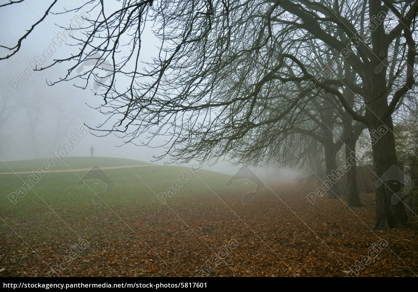 Herbststimmung Stock Photo Panthermedia Stock Agency