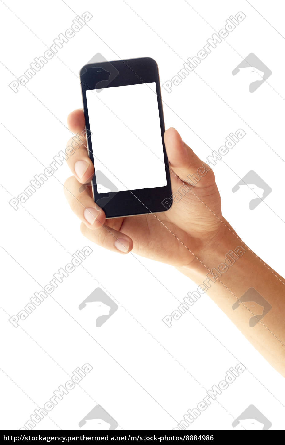 Isolated Hand Holding Smartphone Or Phone Royalty Free Image Panthermedia Stock Agency