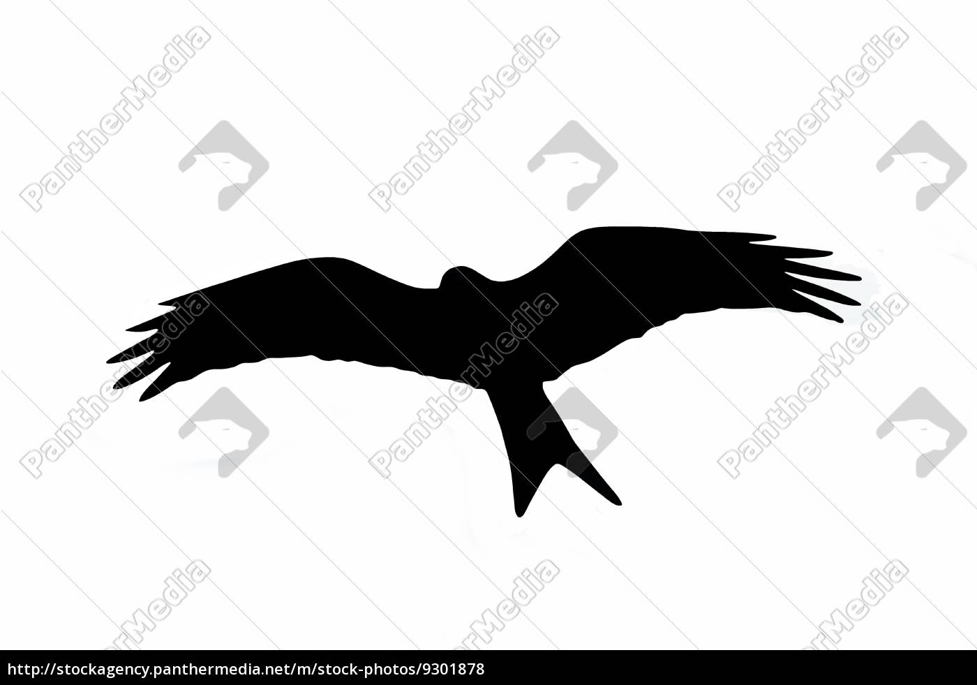 Raptor Silhouette Royalty Free Image 9301878 Panthermedia Stock Agency